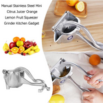 Fruit Juice Squeezer