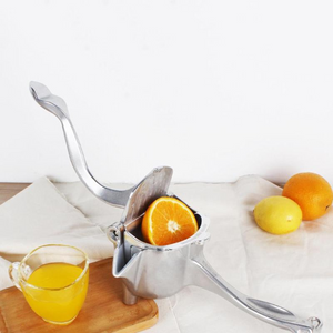 Fruit Juice Squeezer