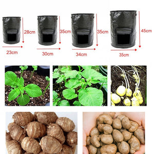 Food Growing Pouch