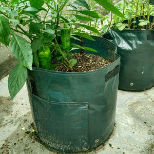 Food Growing Pouch