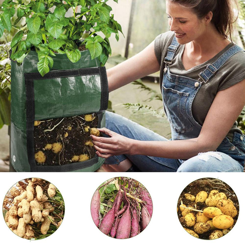 Food Growing Pouch